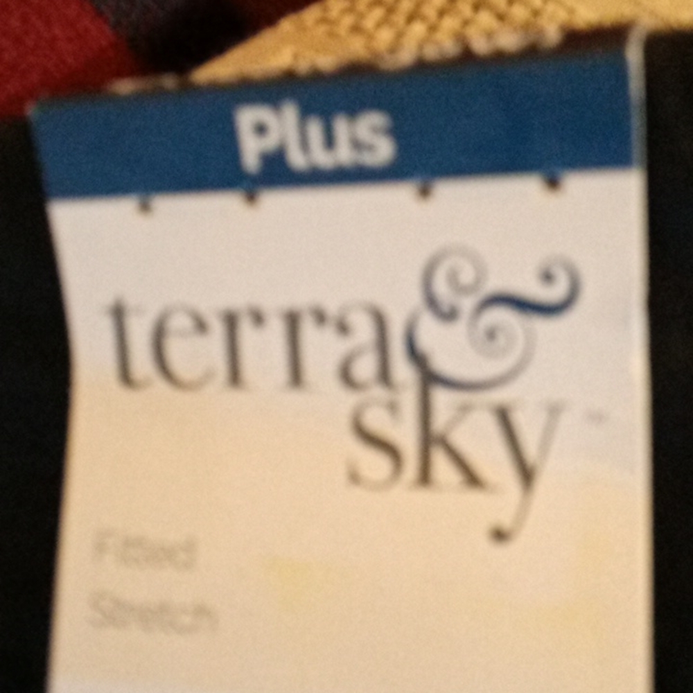 Men's Shorts by terra and sky 4X 28W-30W - Picture 3 of 4